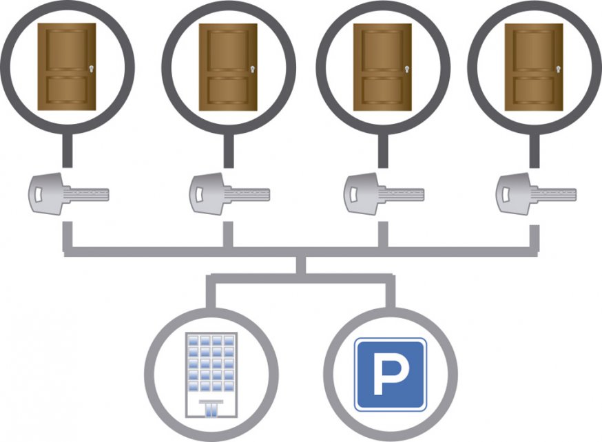 amaestramiento-de-portal-ifam
